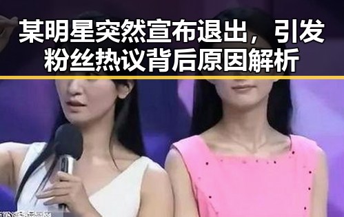 某明星突然宣布退出，引发粉丝热议背后原因解析