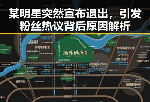 某明星突然宣布退出，引发粉丝热议背后原因解析