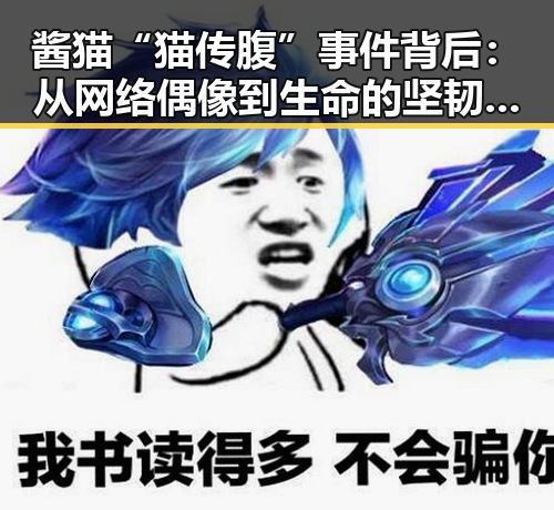 酱猫“猫传腹”事件背后:从网络偶像到生命的坚韧象征
